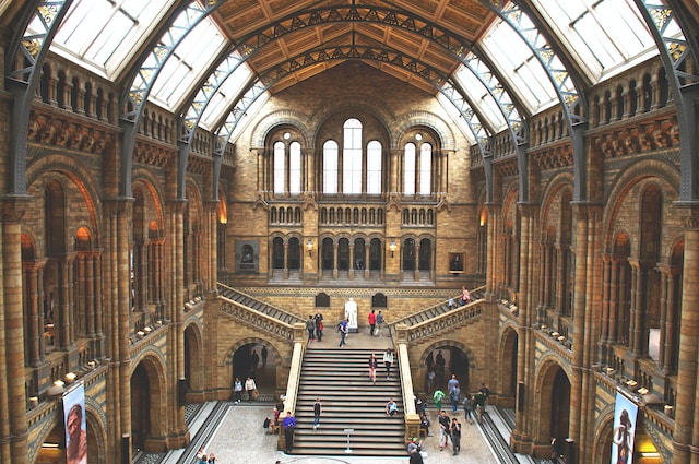 natural_history_museums